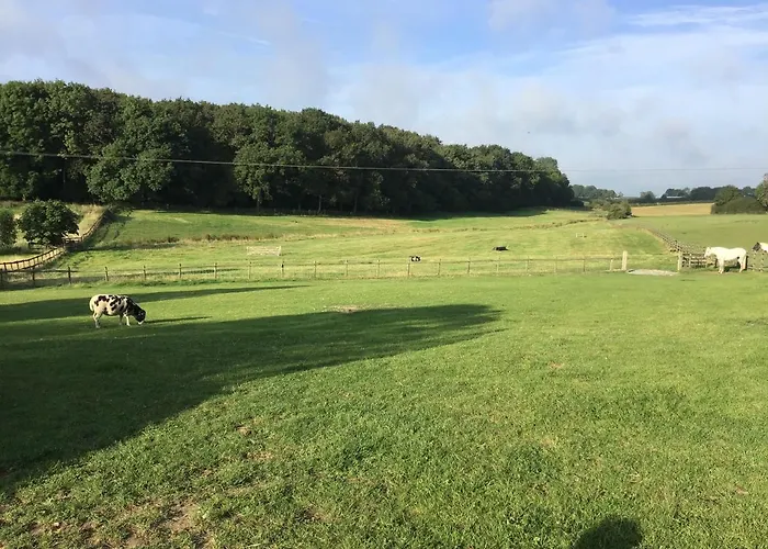 The Grange Silverstone